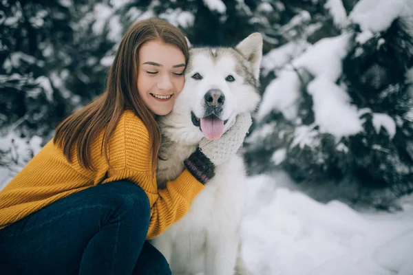 Девушки Обнимают Собаку Аляскинского Маламута Прогулки Зимнему Лесу Фоне Сосен — стоковое фото