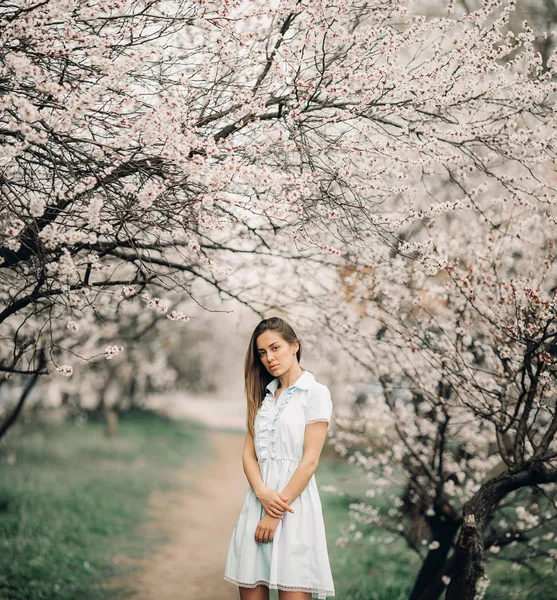 Eine junge Frau steht inmitten der blühenden Aprikosenbäume. — Stockfoto