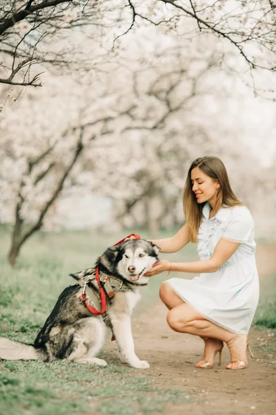 Una mujer joven se sienta junto al perro entre el jardín floreciente . — Foto de Stock