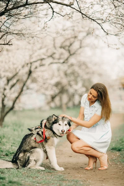 Genç bir kadın çiçekleme Bahçesi arasında köpeğin yanında oturur.