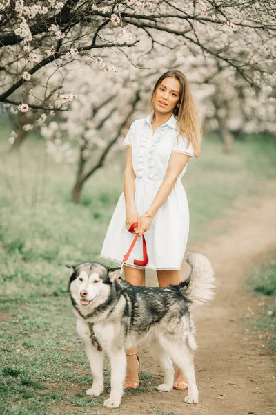 Genç bir kadın, çiçek açan Bahçe arasında köpekle yürür..