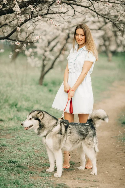 Een jonge vrouw loopt met de hond onder de bloeiende tuin. — Stockfoto