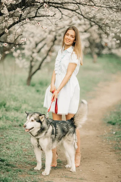 A young woman walks with the dog among the blossoming garden.