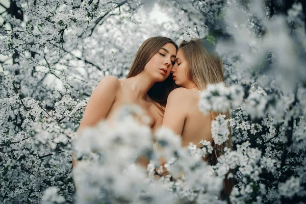 Jeune couple lesbien parmi les cerisiers en fleurs . — Photo