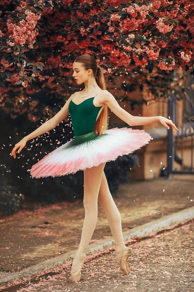 Ballerina tanzt vor dem Hintergrund blühender Sakura Tre — Stockfoto