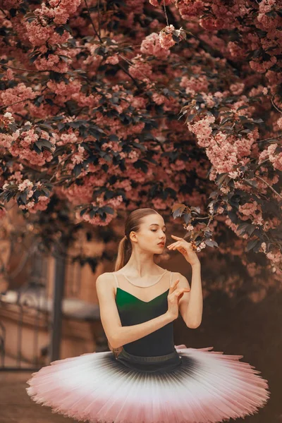 Bailarina dançando contra o fundo de floração sakura tre — Fotografia de Stock