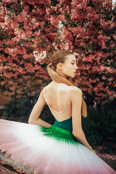 Ballerine debout sur le fond de sakura tr floraison — Photo