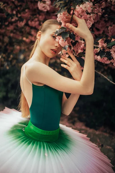 Ballerina in piedi accanto al ramo fiorito di sakura . — Foto Stock