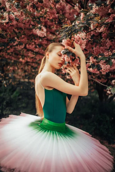 Ballerina steht und genießt neben blühendem Sakura-Baum — Stockfoto