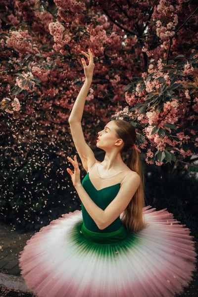 Ballerina tancuje na pozadí kvetoucího Sakura — Stock fotografie