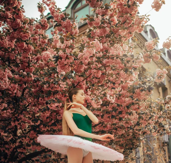 Ballerina tanzt vor dem Hintergrund blühender Sakura Tre — Stockfoto