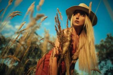 Genç kadın çimen kulakları arasında bir çayır üzerinde.