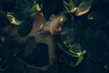 Su zambak yaprakları arasında suda yatan genç kadın.