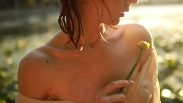 穿着透明衣服的年轻湿女人站在水里 手里拿着黄色的水百合花 — 图库视频影像