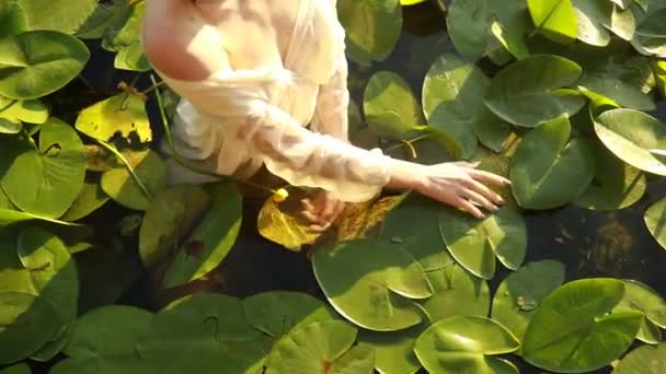 Młoda Kobieta Przezroczystej Sukni Stojącej Wodzie Wśród Liści Kwiatów Żółtej — Wideo stockowe