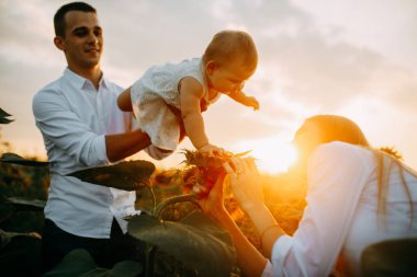 Bebek ile mutlu aile bir eğlence var ve ayçiçeği alanında oynar.