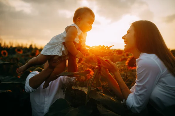 Famiglia felice con bambino si diverte e gioca nel campo di girasole . — Foto Stock