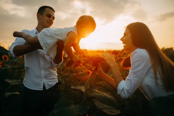 Famiglia felice con bambino si diverte e gioca nel campo di girasole . — Foto Stock