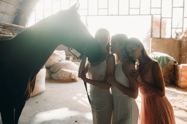 Três mulheres estão ao lado de um cavalo . — Fotografia de Stock