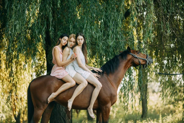 3人の女性が木の隣で馬に乗っている. — ストック写真