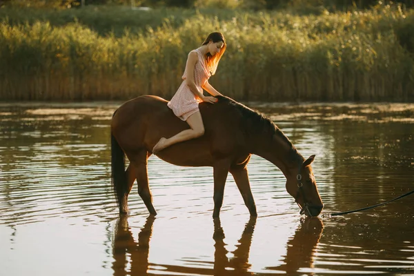 女性は水を飲む馬に座る. — ストック写真