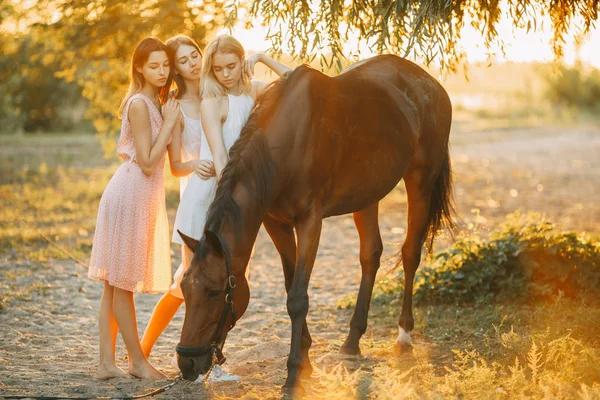 Três jovens estão ao lado do cavalo ao pôr-do-sol . — Fotografia de Stock