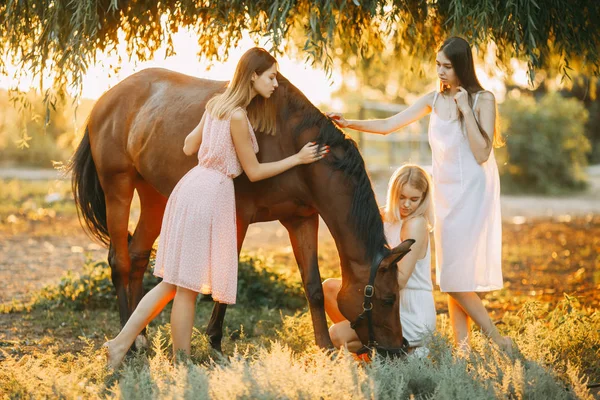 Três mulheres estão ao lado do cavalo ao pôr-do-sol . — Fotografia de Stock