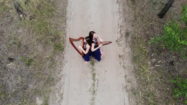 Vista Dal Drone Alle Due Arpista Piedi Sulla Strada Forestale — Video Stock