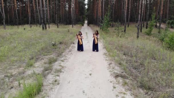 Duas Mulheres Harpistas Estão Estrada Floresta Tocam Harpas Contra Fundo — Vídeo de Stock