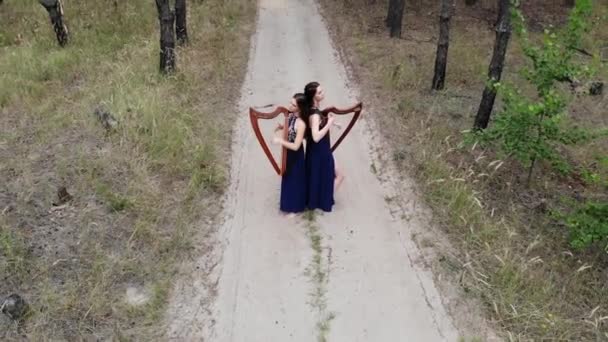 Widok Drone Dwie Kobiety Harpist Stojący Leśnej Drodze Grając Harps — Wideo stockowe