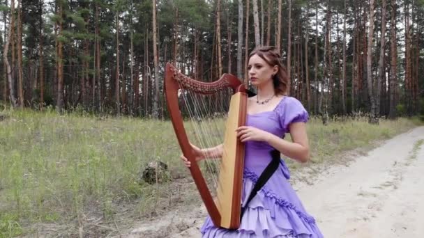 Kobieta Harpist Liliowy Sukienka Spacery Wzdłuż Leśnej Drodze Harfy Dłoniach — Wideo stockowe