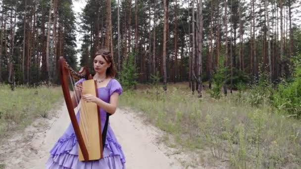 Mulher Harpista Vestido Lilás Fica Estrada Floresta Toca Harpa Contra — Vídeo de Stock