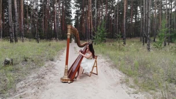 Mulher Harpista Toca Harpa Concerto Estrada Areia Floresta Contra Fundo — Vídeo de Stock