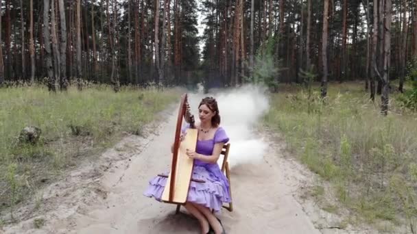 Woman Harpist Sitter Forest Road Och Spelar Harpa Mot Bakgrund — Stockvideo