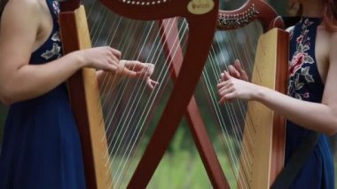 İki kadın arpçı güzel elbiseler içinde arp oynar. Closeup.