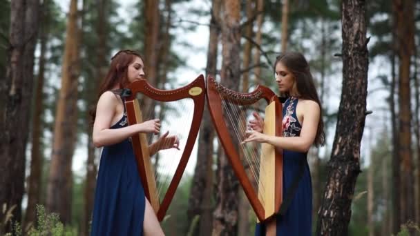 Дві Жінки Арфисти Стоять Лісі Грають Арфи Красивих Сукнях Тлі — стокове відео