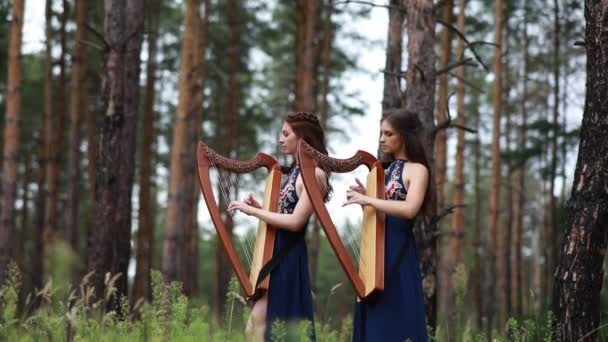 Dwie Kobiety Harfistów Stoją Lesie Grać Harps Pięknych Sukienek Tle — Wideo stockowe