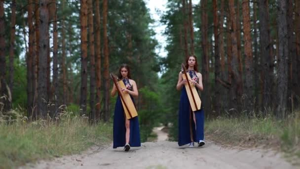 Duas Mulheres Harpistas Caminham Estrada Floresta Tocam Harpas Belos Vestidos — Vídeo de Stock