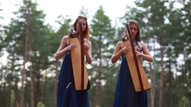 Dvě Ženský Harpisté Stojí Lese Hrají Harfy Krásných Šatech Pozadí — Stock video