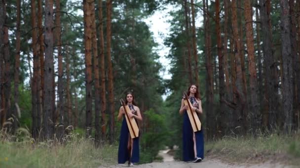 Dos Mujeres Arpistas Caminan Por Camino Del Bosque Tocan Arpas — Vídeo de stock