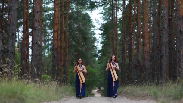 Дві Жінки Арфисти Ходять Лісовій Дорозі Грають Арфи Красивих Сукнях — стокове відео
