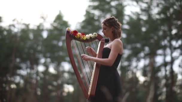 Kvinna Harpist Står Forest Och Spelar Harps Vacker Klänning Mot — Stockvideo
