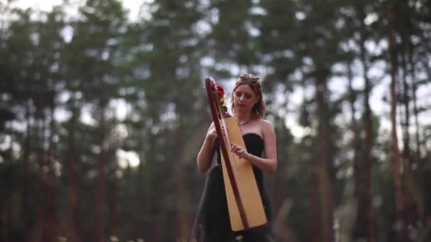 Kvinna Harpist Promenader Skogen Och Spelar Harps Vacker Klänning Mot — Stockvideo