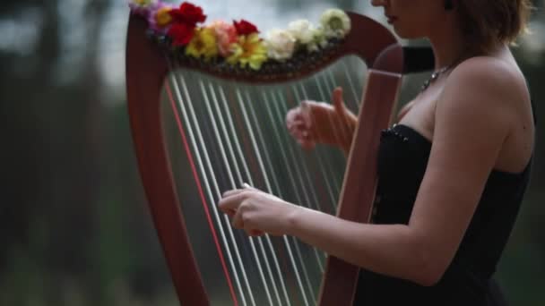 Vrouw Harpiste Staat Speelt Harp Mooie Jurk Close — Stockvideo