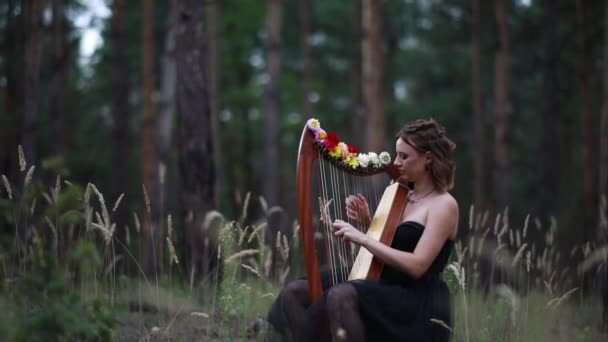 하피스스트는 소나무의 배경에 아름다운 드레스하프를 재생합니다 — 비디오