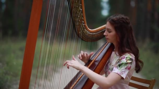 Woman Harpist Sits Forest Plays Harps Beautiful Dres Closeup — Stock Video