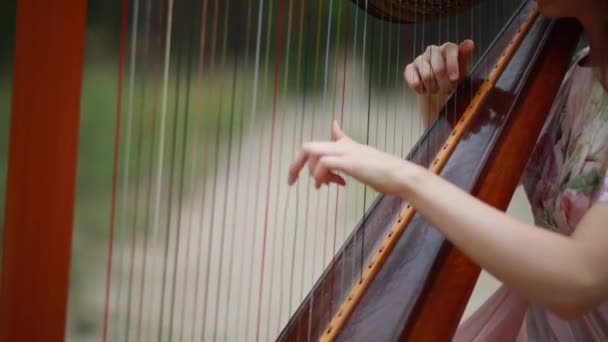 Woman Harpist Plays Harps Closeup — Stock Video