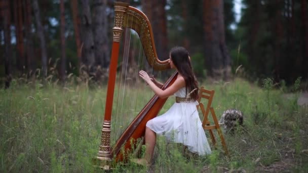 Kobieta Harpist Siedzi Lesie Gra Harps Pięknej Sukni Tle Sosen — Wideo stockowe
