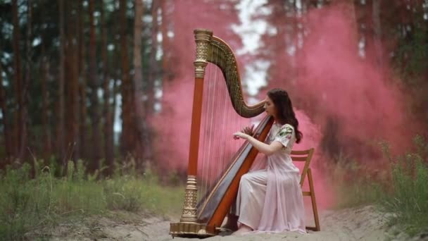 Harfenistin Sitzt Waldstraße Und Spielt Harfe Vor Dem Hintergrund Von — Stockvideo