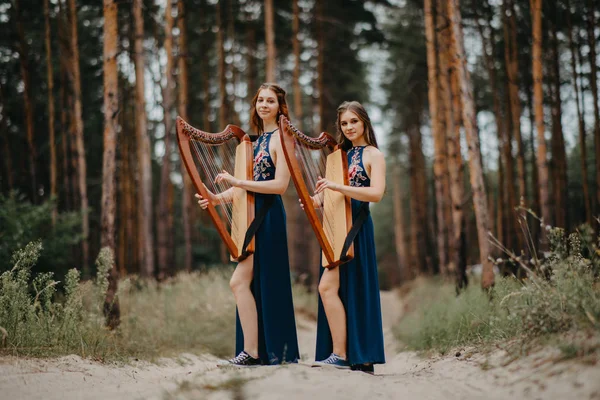 Dos mujeres arpista se paran en el bosque y tocan arpas contra la espalda — Foto de Stock